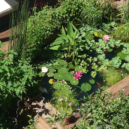 Des Arceaux Hotell 3*