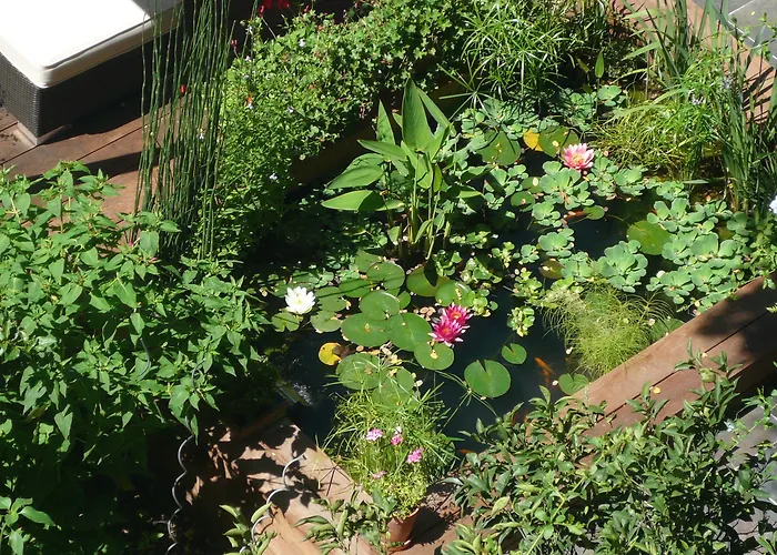 Des Arceaux Hotel 3*