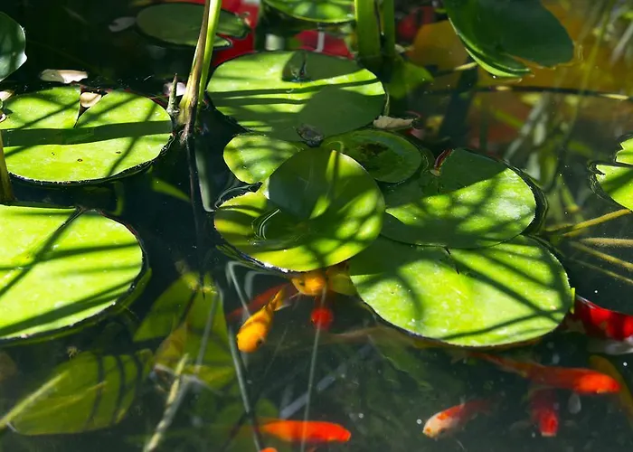 Hotel Des Arceaux 3*